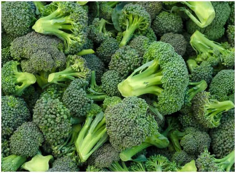 broccoli