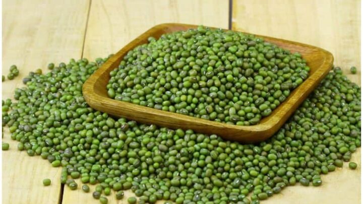 Mung Beans (Vigna radiata) – Side Effects & Health Benefits