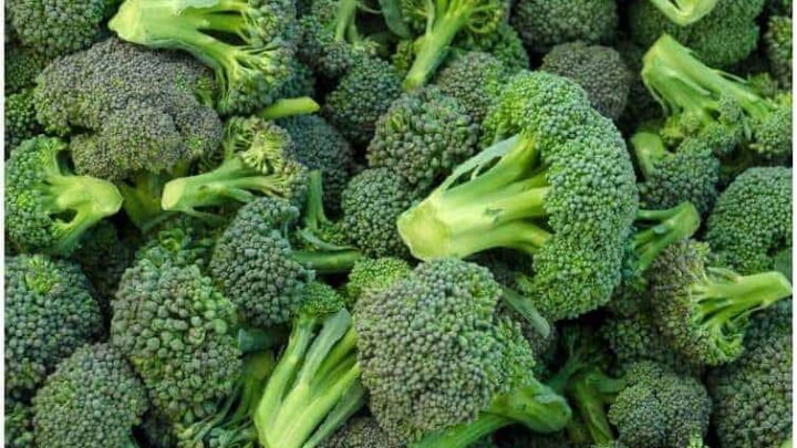 Asparagus vs Broccoli - Taste, Health Benefits, Nutrition Facts