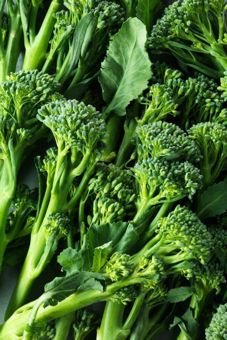 Asparagus vs Broccoli Health Guide Net