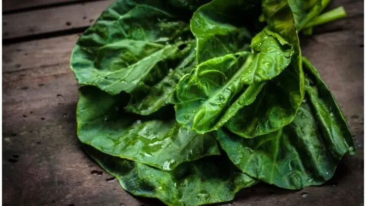 Malabar Spinach - Health Benefits, Side Effects, Taste, Recipe