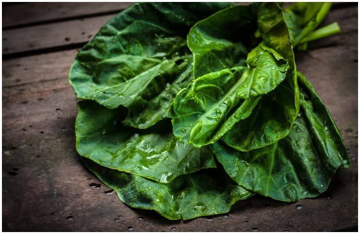 Malabar Spinach – Health Benefits, Side Effects, Taste, Recipe