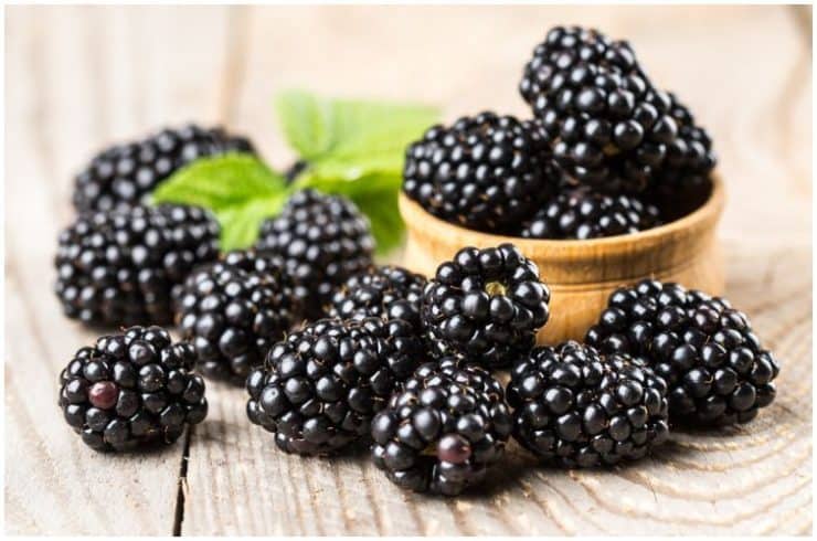 Mulberry Vs Blackberry – Differences In Taste & Health Benefits ...