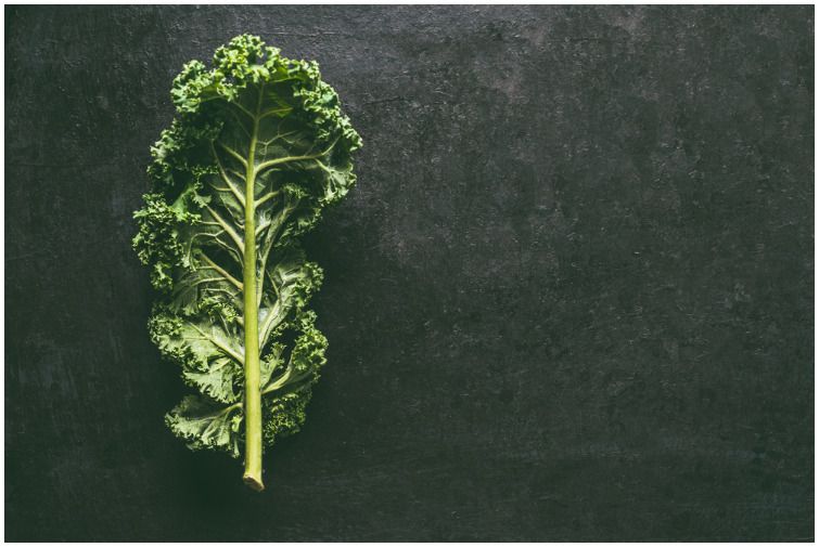 Best Foods To Eat After Colonoscopy Health Guide Net best-foods-to-eat-after-colonoscopy-health-guide-net