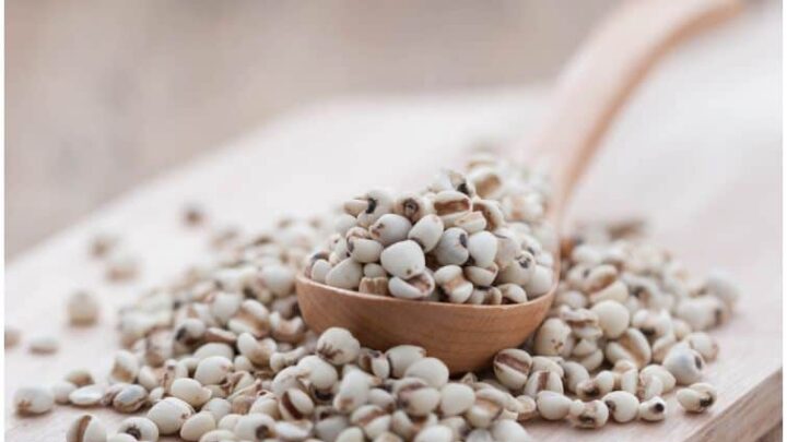 Coix Seed (Job’s Tears) – Nutrition Facts & Health Benefits
