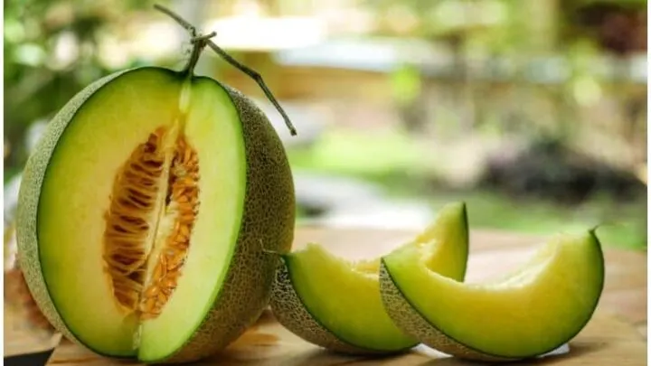 Honeydew Melon – Side Effects, Nutrition Facts, Benefits (Fiber), Smoothie Recipe