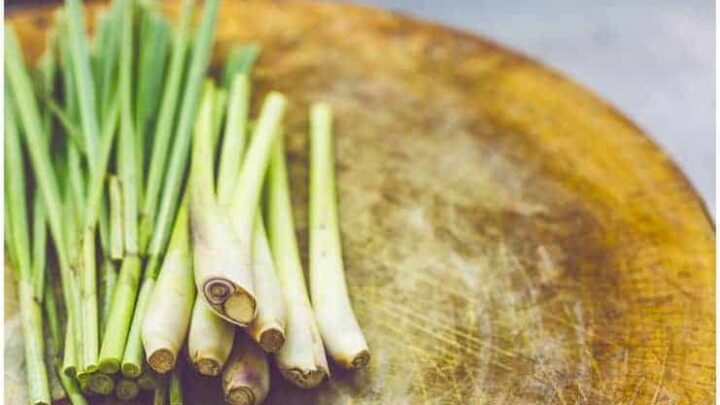 Lemongrass Tea – Benefits (Weight Loss, Skin, Sleep) & Side Effects