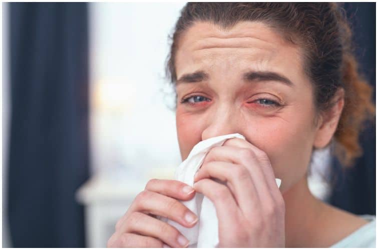 Xyzal vs Claritin Health Guide Net