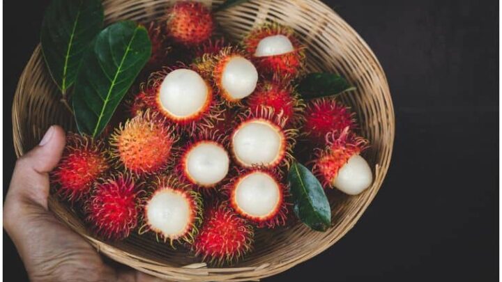 Rambutan Fruit – Side Effects, Taste, Health Benefits (Diabetes), Smoothie Recipe