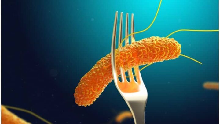 Salmonella vs E. Coli – Differences & Symptoms of Food Poisoning