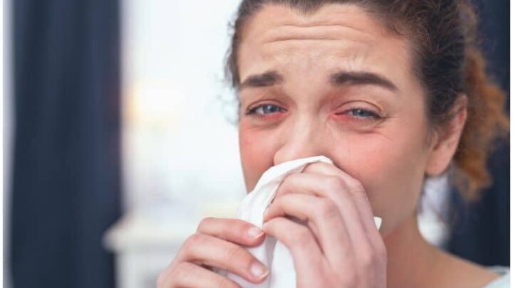 Qnasl vs Flonase (Fluticasone) – Comparison of Allergy Nasal Sprays