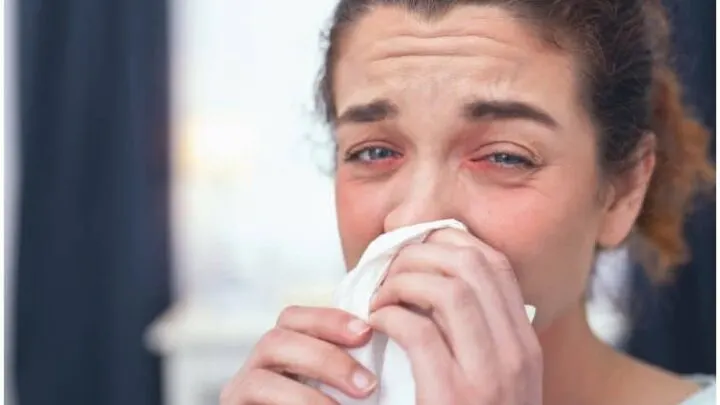Qnasl vs Flonase (Fluticasone) - Comparison of Allergy Nasal Sprays