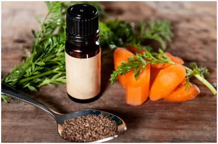 Carrot Seed essential oil