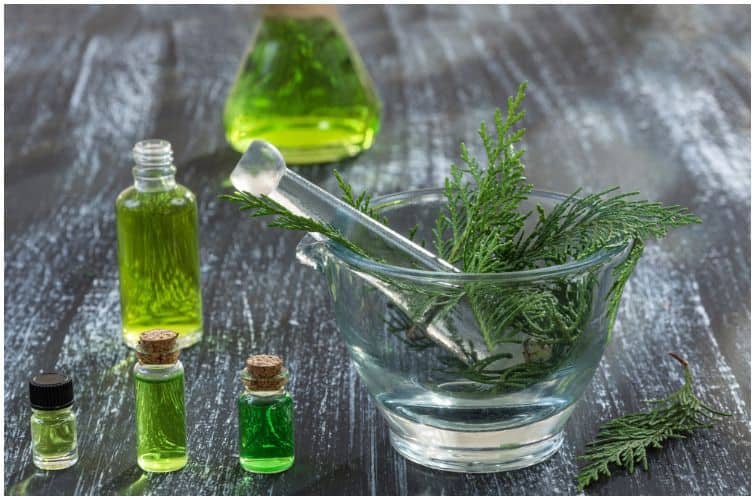 Cypress essential oil