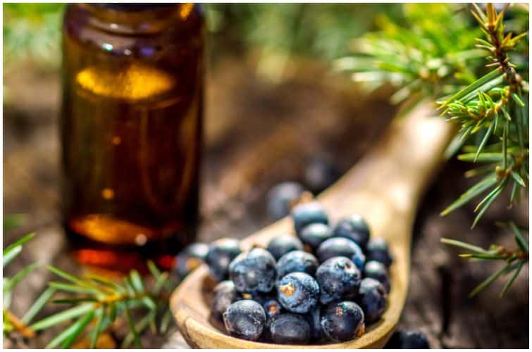 Juniper Berry essential oil