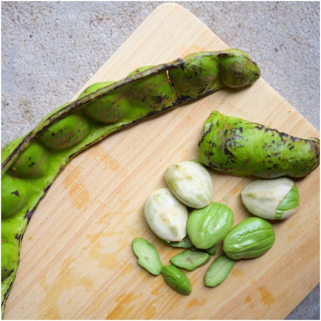 Petai (Stink) Beans (Parkia Speciosa) Benefits, Nutrition Facts, Side