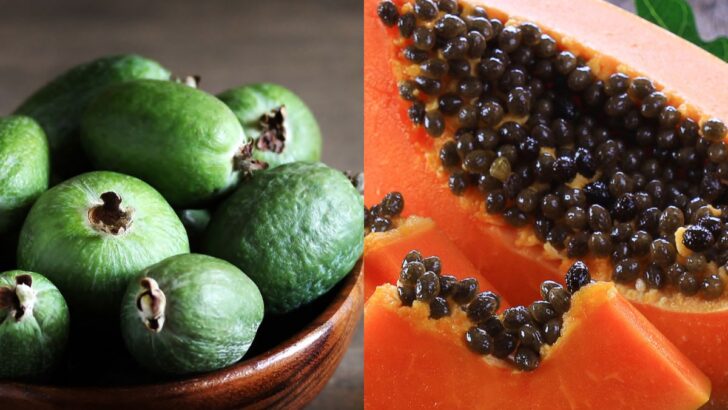Guava vs Papaya here’s what makes them unique