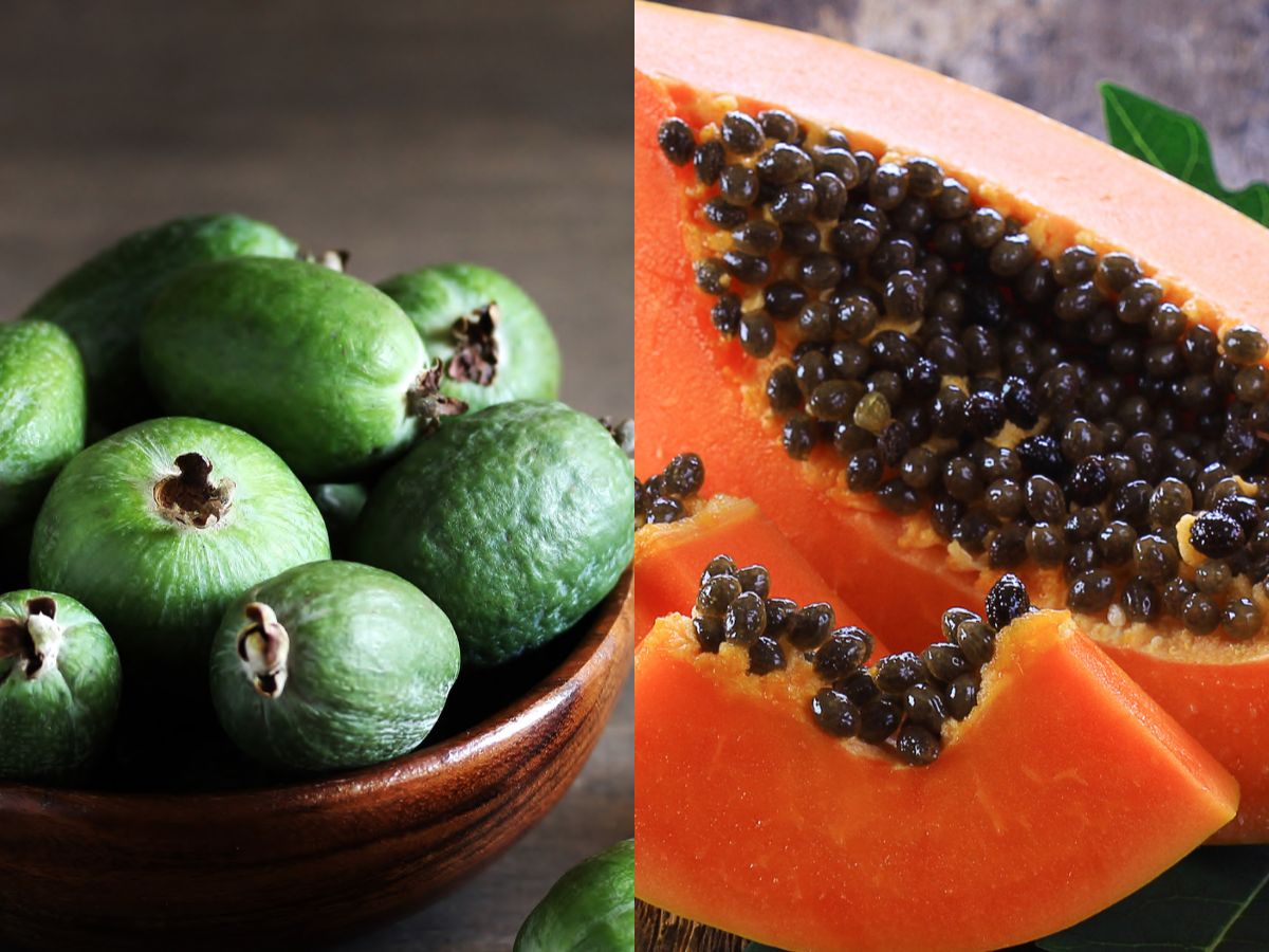 Guava vs Papaya - Health Guide Net