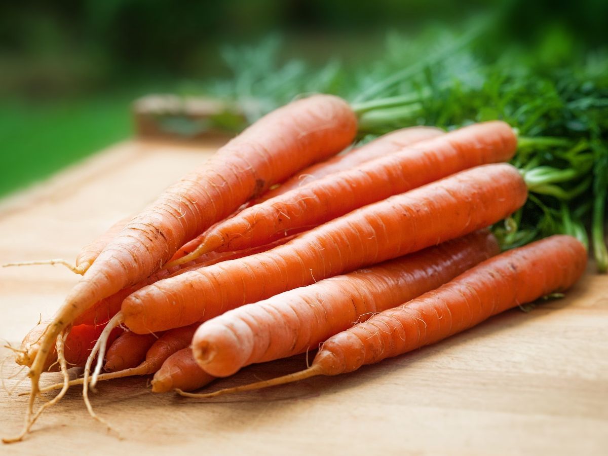 why-do-carrots-give-me-hiccups-health-guide-net