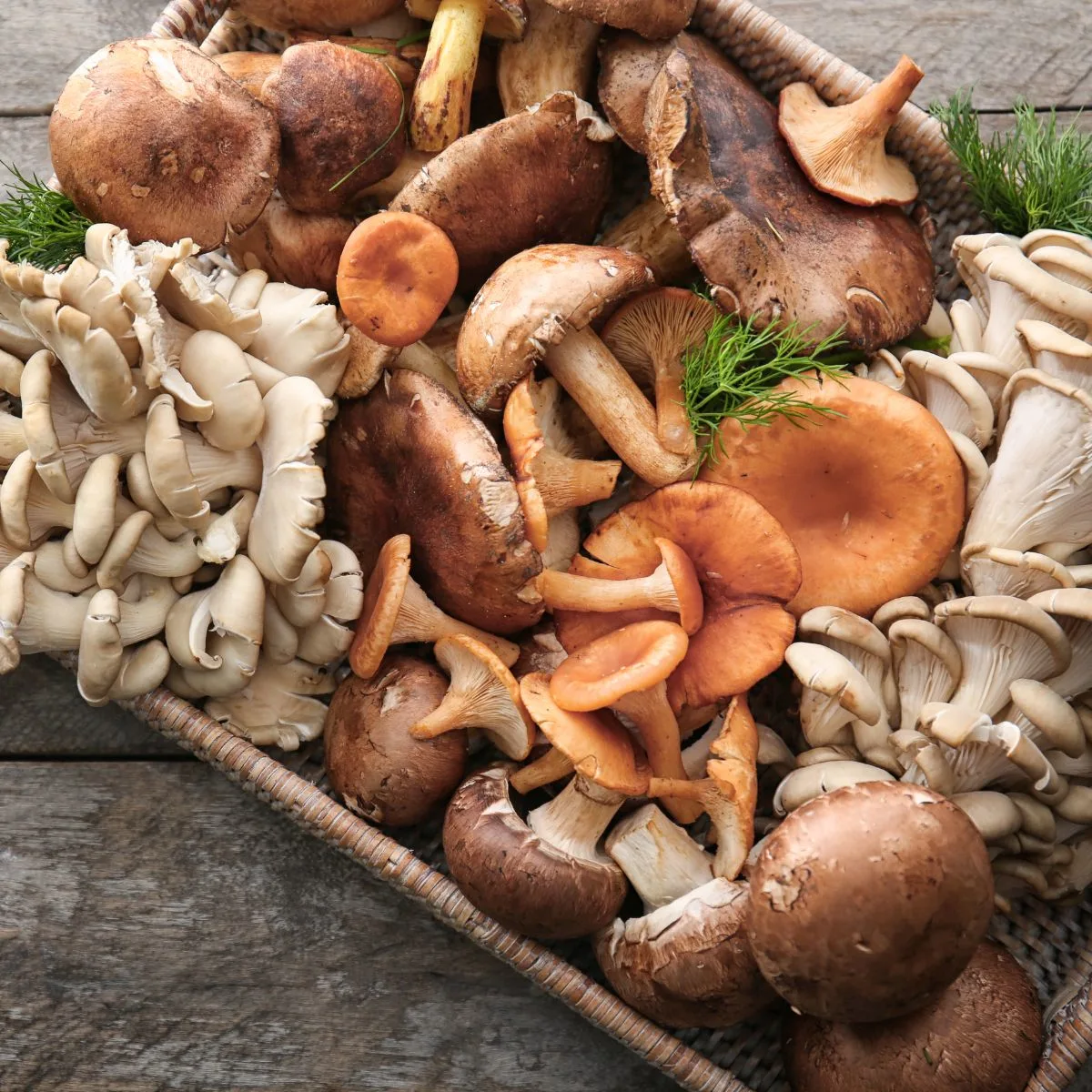 why do mushrooms make you gassy