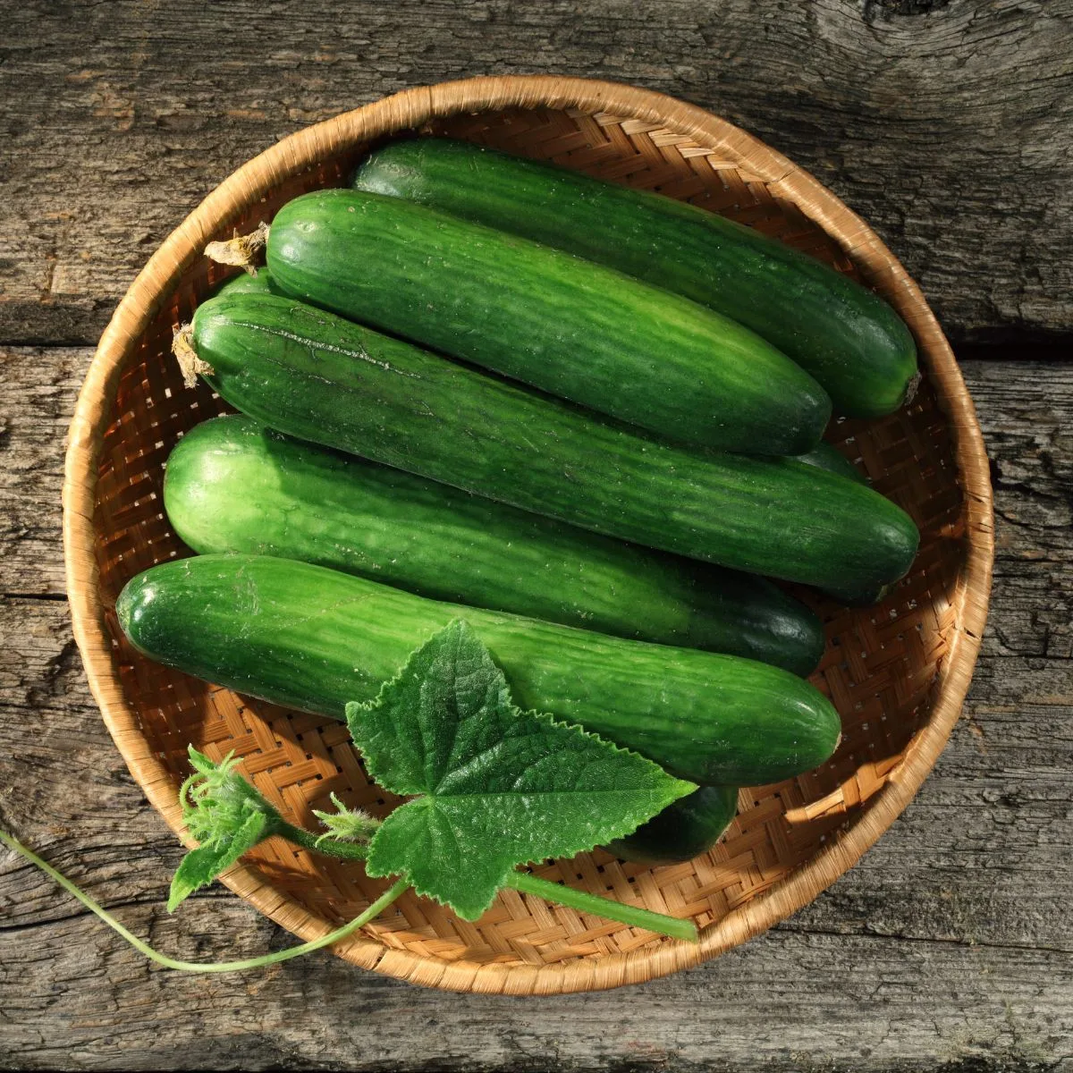can you eat cucumber seeds