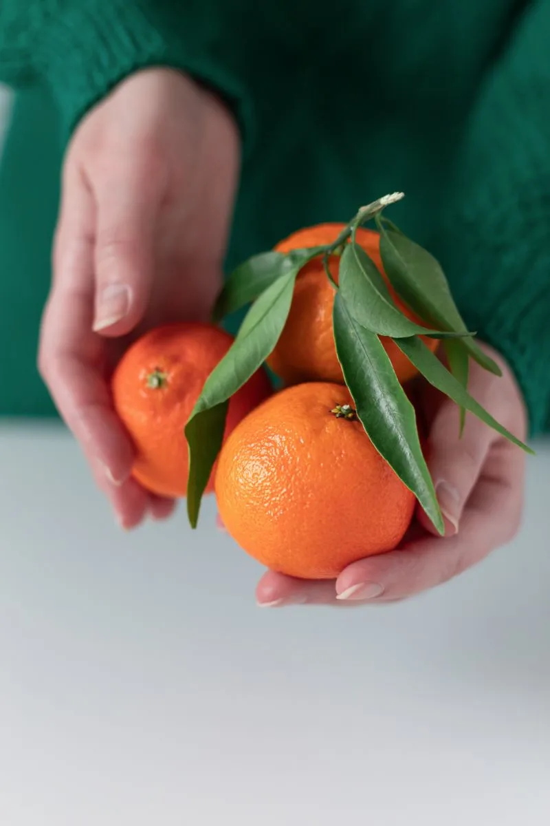 Clementines foods high in vitamin c