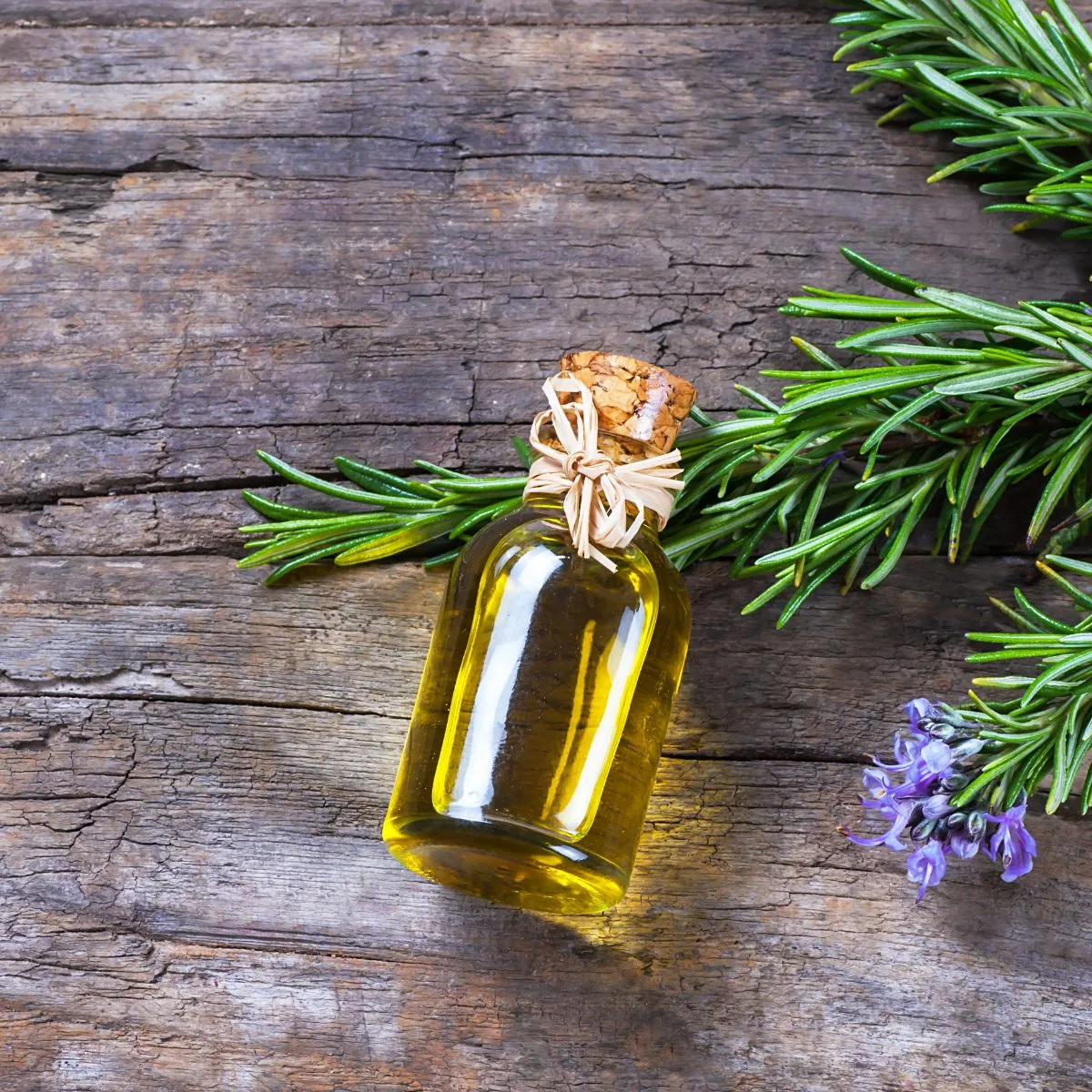 Rosemary Oil for headaches