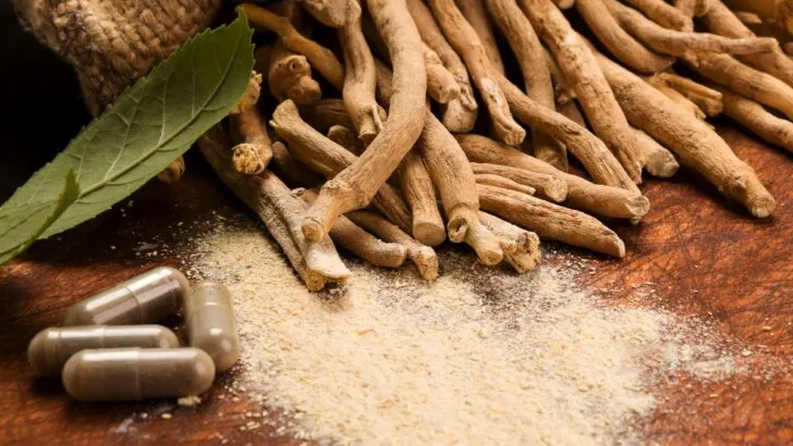 ashwagandha side effects